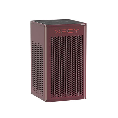 Tragbarer Luftreiniger - Mahogany - Connexions Technology - für Krankenhaus