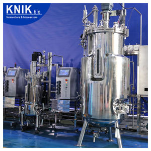 Labor-Bioreaktor - BLBIO -200SJ/SC - KNIK CO.,LTD. - für mikrobielle Fermentation / für Zellkultur / in-situ sterilisierbaren Kulturgefäßen