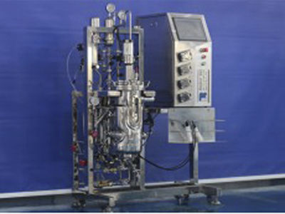 Labor-Bioreaktor - 118 - KNIK CO.,LTD. - für mikrobielle Fermentation