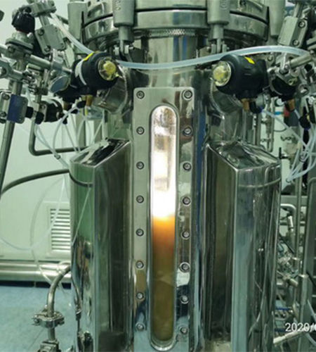 Labor-Bioreaktor - Hematopoietic suspension - KNIK CO.,LTD. - für Zellkultur