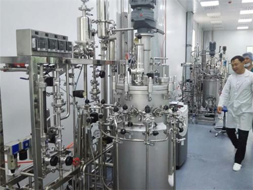 Labor-Bioreaktor - BIO-XV series - KNIK CO.,LTD. - zur Impfstoffentwicklung / kompakt