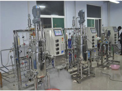 Labor-Bioreaktor - 85 - KNIK CO.,LTD. - für mikrobielle Fermentation / für parallele Synthese