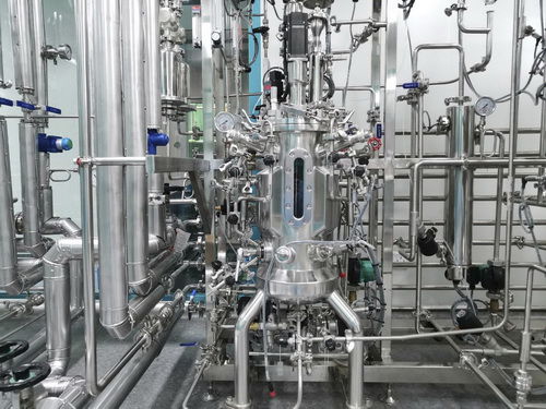 Labor-Bioreaktor - 219 - KNIK CO.,LTD. - für mikrobielle Fermentation / für Zellkultur / für die Pharmaindustrie
