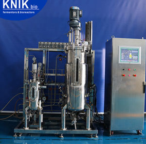 Labor-Bioreaktor - BLBIO JAV series - KNIK CO.,LTD. - für mikrobielle Fermentation / in-situ sterilisierbaren Kulturgefäßen