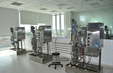 Labor-Bioreaktor - 79 - KNIK CO.,LTD. - für mikrobielle Fermentation / für parallele Synthese