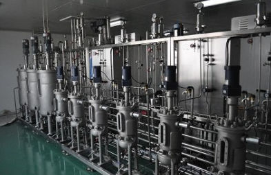 Chargen-Bioreaktor - KNIK CO.,LTD. - Fed-Batch / Labor / für mikrobielle Fermentation