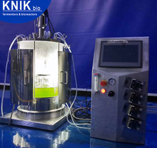 Labor-Photobioreakor - BIO-GCL series - KNIK CO.,LTD. - für mikrobielle Fermentation / autoklavierbar