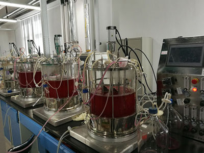Labor-Bioreaktor - KNIK CO.,LTD. - für Zellkultur / autoklavierbar