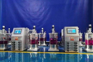 Chargen-Bioreaktor - 135 - KNIK CO.,LTD. - kontinuierlich / Labor / für Zellkultur