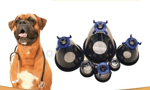 Veterinär-Maske / für Anästhesie - Shandong Dolphinmed Technology - für Nagetiere / für Katzen / für Hunde