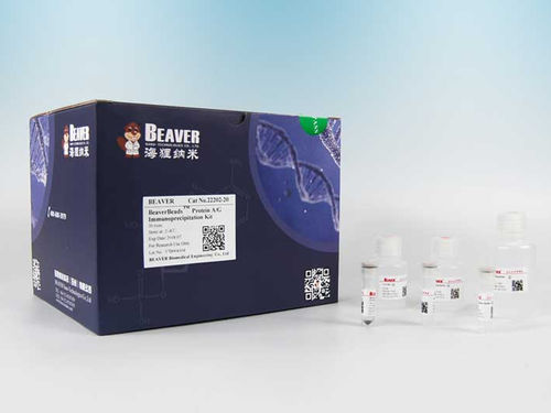 Plasma-Reagenz - BeaverBeads™ Protein A/G - BEAVER - Gewebe / zur Proteinreinigung / Protein