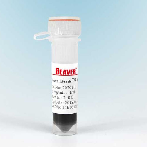 Reaktives Milieu - BeaverBeads™ Mag NHS - BEAVER - Magnetkugeln / zur Proteinreinigung