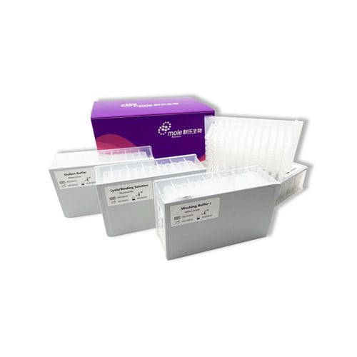 Serum-Reagenzkit - P084T00101 - Jiangsu Mole Bioscience - Plasma / Waschstopfen / Magnetkugeln