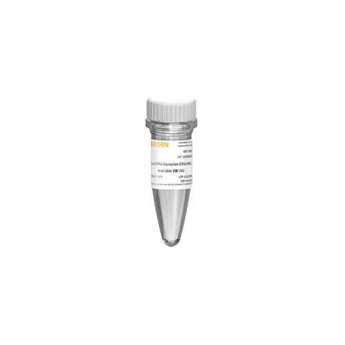 Reagenz für PCR - 10184ES series - Yeasen Biotechnology (Shanghai) Co., Ltd - DNA-Polymerase / Farbstoff / für Mikrobiologie