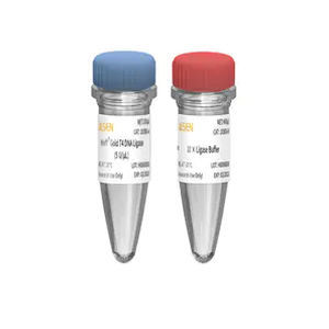 Reagenz / Ligase ADN - 10300ES series - Yeasen Biotechnology (Shanghai) Co., Ltd - für Forschungszwecke / ATP