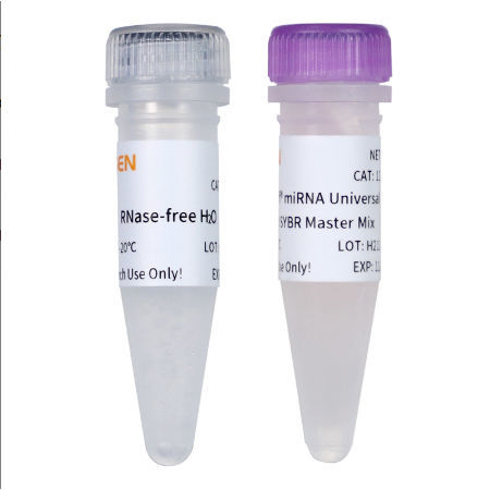 DNA-Polymerase-Reagenz - 11171ES series - Yeasen Biotechnology (Shanghai) Co., Ltd - Farbstoff / für wissenschaftliche Forschung / für qPCR