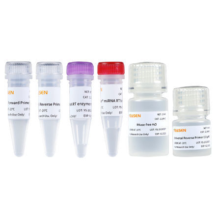 Reagenzkit für cDNA-Synthese - 11148ES series - Yeasen Biotechnology (Shanghai) Co., Ltd - Enzyme / umgekehrte Transkriptase / Pufferlösung