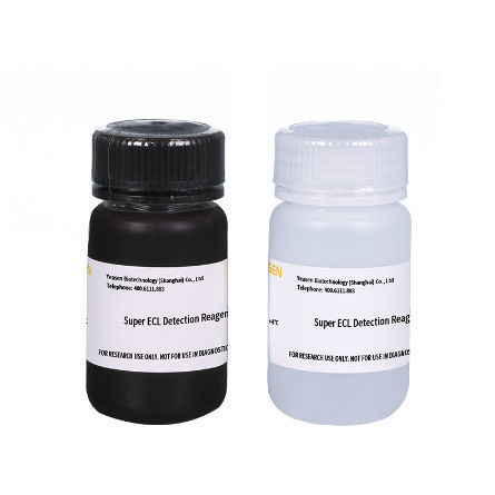 Reagenz / als Lösung - 36208ES series - Yeasen Biotechnology (Shanghai) Co., Ltd - für Forschungszwecke / Protein / für Antikörper