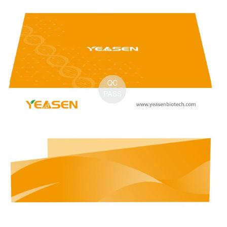Reagenzkit zur Vorbereitung von ADN-Banken - Hieff NGS™ - Yeasen Biotechnology (Shanghai) Co., Ltd - als Lösung