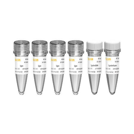 Enzyme-Reagenzkit - Hieff NGS™ - Yeasen Biotechnology (Shanghai) Co., Ltd - NGS / zur Vorbereitung von ADN-Banken
