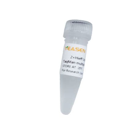 Reagenz / als Lösung - Hieff Unicon™  - Yeasen Biotechnology (Shanghai) Co., Ltd - Enzyme / Farbstoff / für qPCR