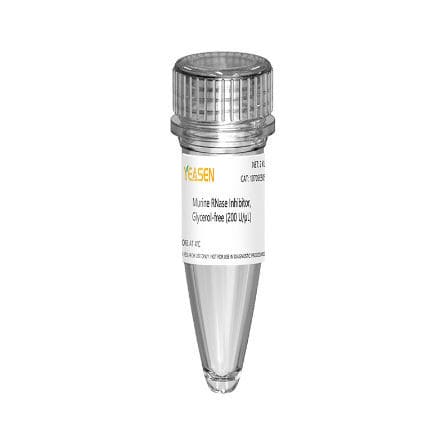 RNase-Inhibitor-Reagenz - 10703ES series - Yeasen Biotechnology (Shanghai) Co., Ltd - für In-vitro-Transkription / gefriergetrocknet
