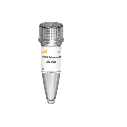 Enzyme-Reagenz - 10625ES series - Yeasen Biotechnology (Shanghai) Co., Ltd - für RNA-Synthese / flüssig / GMP