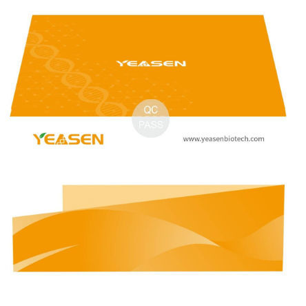Reagenz / als Lösung - Hieff Trans™ - Yeasen Biotechnology (Shanghai) Co., Ltd - zur ADN-Transfektion / Viren