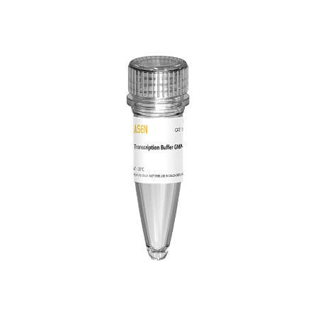 Pufferlösung - 10627ES series - Yeasen Biotechnology (Shanghai) Co., Ltd - für RNA-Synthese / flüssig / GMP