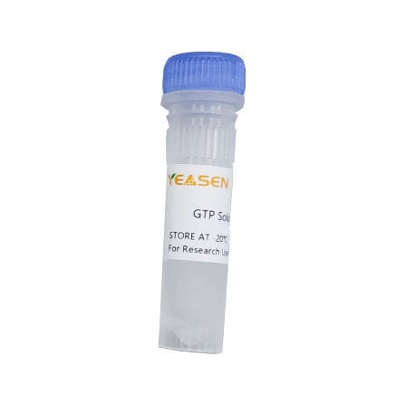 Reagenz / als Lösung - 10132ES series - Yeasen Biotechnology (Shanghai) Co., Ltd - für In-vitro-Transkription / für RNA-Synthese / flüssig