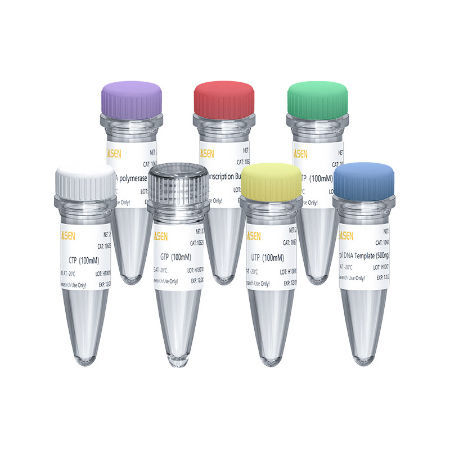 Reagenzkit für RNA-Synthese - 10623ES series - Yeasen Biotechnology (Shanghai) Co., Ltd - dNTP-Lösung / Pufferlösung / flüssig