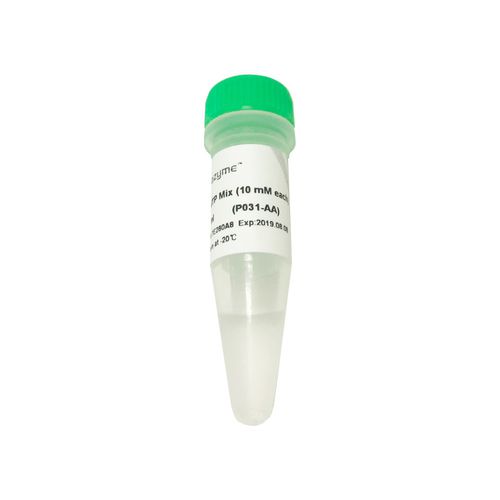 DNTP-Lösung-Reagenz - P031-01 - Vazyme - umgekehrte Transkriptase / für PCR / für RT-PCR