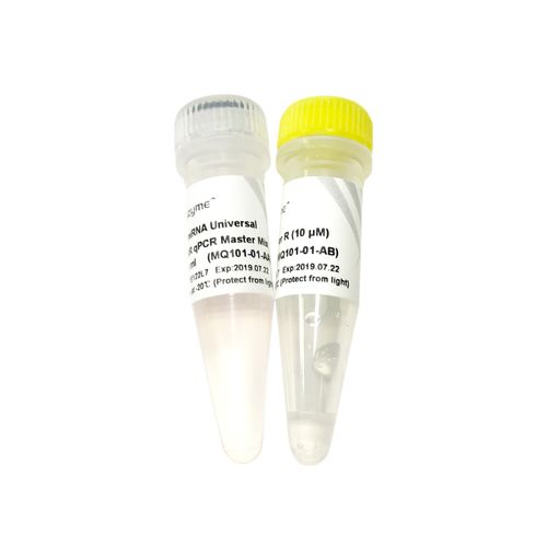 DNA-Polymerase-Reagenz - MQ101-0 series - Vazyme - Farbstoff / für qPCR / mit Warmstart