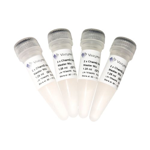 Antikörper - ChamQ - Vazyme Medical Co.,Ltd - DNA-Polymerase / Taq-Polymerase / Farbstoff