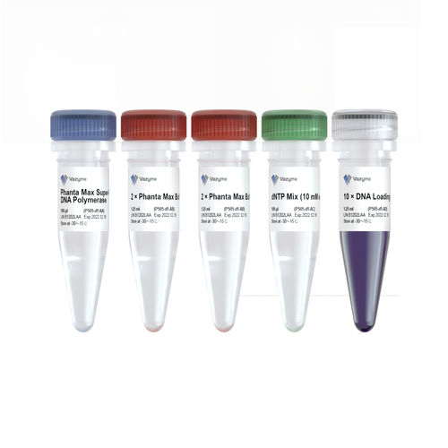 Monoklonaler Antikörper - Phanta Max  - Vazyme Medical Co.,Ltd - Enzyme / DNA-Polymerase / für PCR