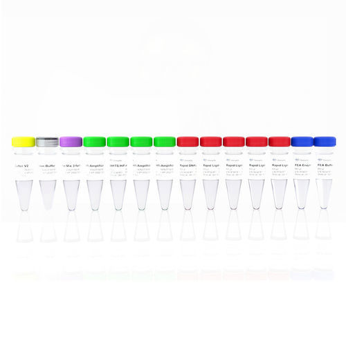 Reagenzkit / als Lösung - VAHTS - Vazyme Medical Co.,Ltd - NGS / zur Vorbereitung von ADN-Banken