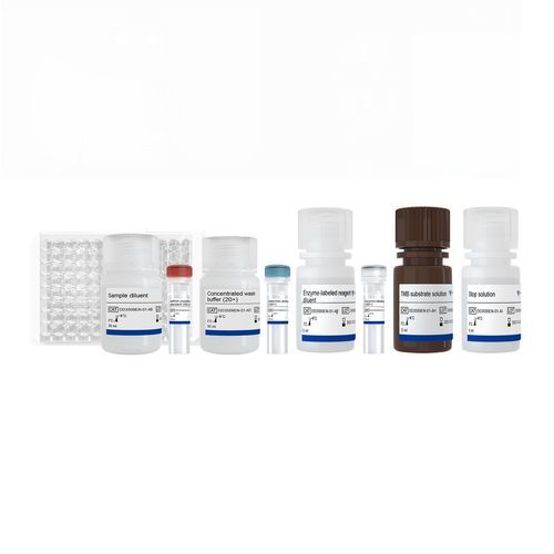 Reagenzkit / als Lösung - EasyAna - Vazyme Medical Co.,Ltd - für ELISA