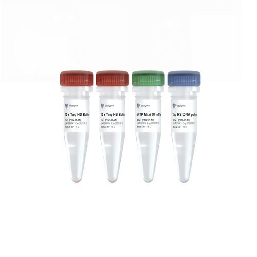 Enzyme-Reagenzkit - Taq HS - Vazyme Medical Co.,Ltd - DNA-Polymerase / Taq-Polymerase / Diagnose