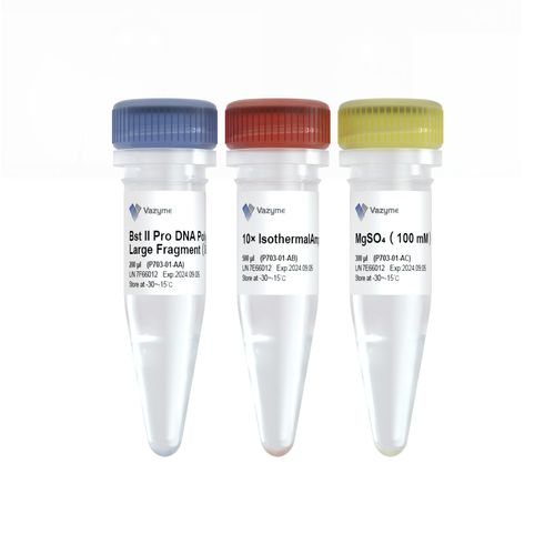 DNA-Polymerase-Reagenzkit - Bst II Pro  - Vazyme - Diagnose / für isotherme Amplifikation / Gene