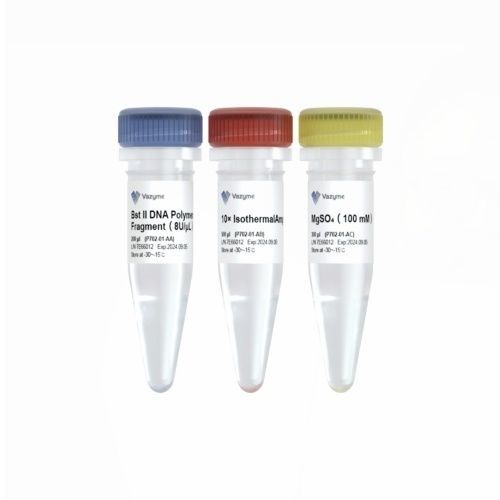 DNA-Polymerase-Reagenzkit - Bst II - Vazyme - für isotherme Amplifikation / Gene