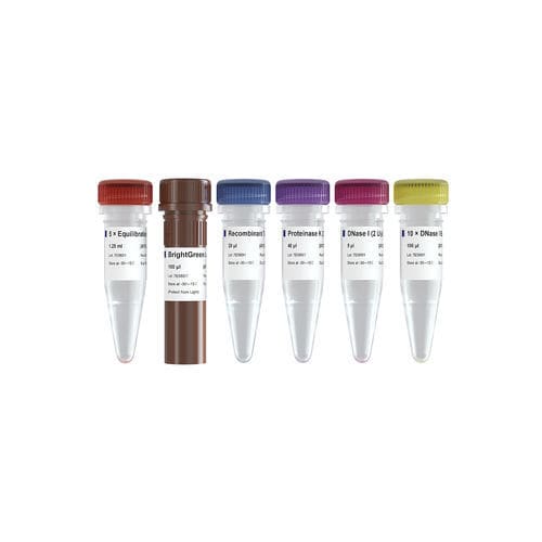 Enzyme-Reagenzkit - TUNEL BrightGreen - Vazyme Medical Co.,Ltd - Pufferlösung / Apoptose