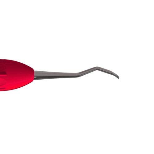Parodontaler Dental-Scaler - 204SD - ergo denta - Sense / Endstück / Edelstahl