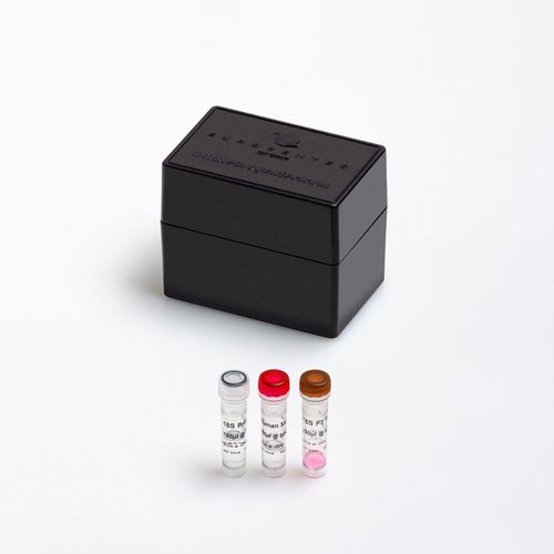 Enzyme-Reagenzkit - FAM-TAMRA  - Eurogentec - für Forschungszwecke / Diagnose / für qPCR