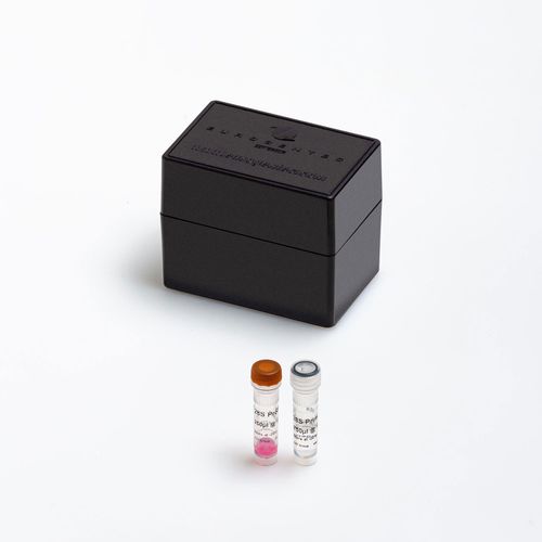 Enzyme-Reagenzkit - Yakima Yellow® - Eclipse Dark Quencher® - Eurogentec - Diagnose / für Kliniken / flüssig