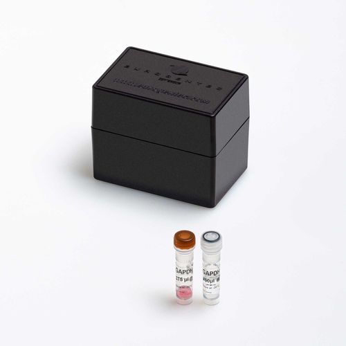 Enzyme-Reagenzkit - Yakima Yellow® - Eclipse Dark - Eurogentec - für Forschungszwecke / Diagnose / für Kliniken