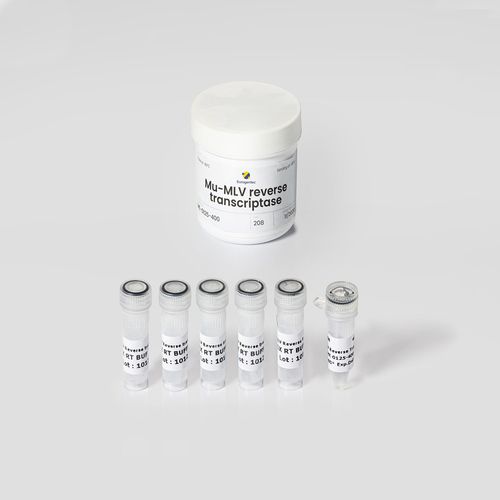 Enzyme-Reagenzkit - Mu-MLV - Eurogentec - umgekehrte Transkriptase / für Forschungszwecke / flüssig