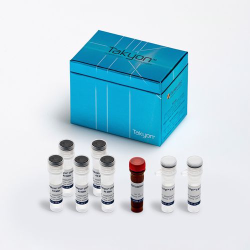 Reagenzkit / als Lösung - Takyon® - Eurogentec - DNA-Polymerase / für Forschungszwecke / für RT-qPCR