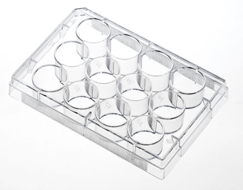 Labor-Mikroplatte - TCP001001 - Guangzhou Jet Bio-Filtration Co., Ltd. - Zellkultur / Gewebekultur / 96 Well