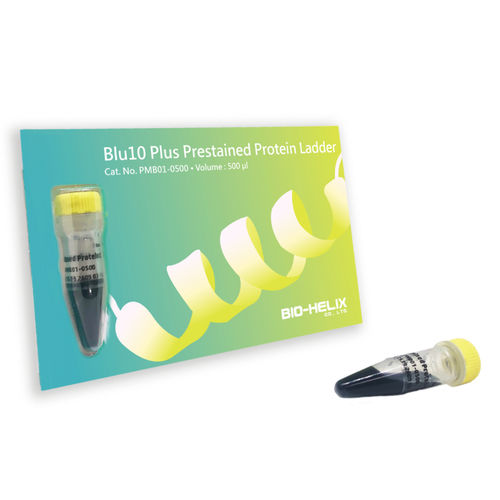 Proteinskala-Reagenz - Blu10 Plus - Bio-Helix - für Western Blot