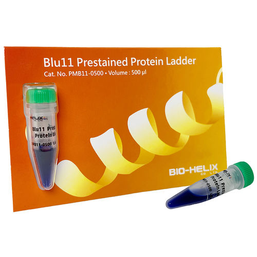 Proteinskala-Reagenz - Blu11 - Bio-Helix - für Western Blot / Harnstoff / pH
